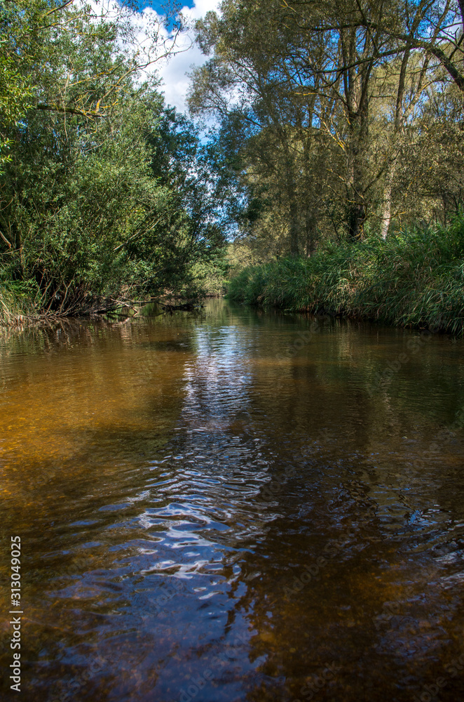 is a river in Austria and in the Czech Republic, and a right tributary of the Vltava.