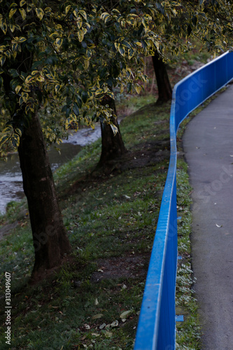 Blue railing in a park