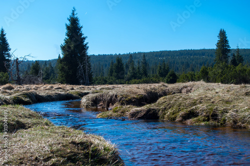Fototapeta Naklejka Na Ścianę i Meble -  Jizera stream near to settlement Jizerka in Czech Republic