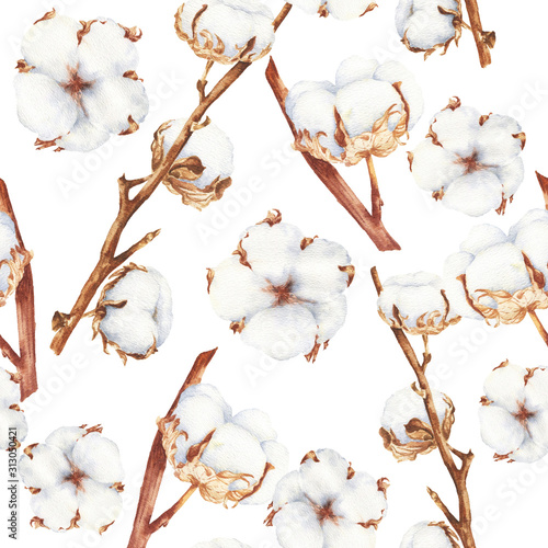 Watercolor cotton seamless background, hand drawn botanical repeating pattern.