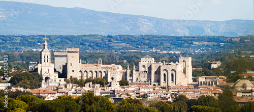 Schilderij op canvas vue sur Avignon