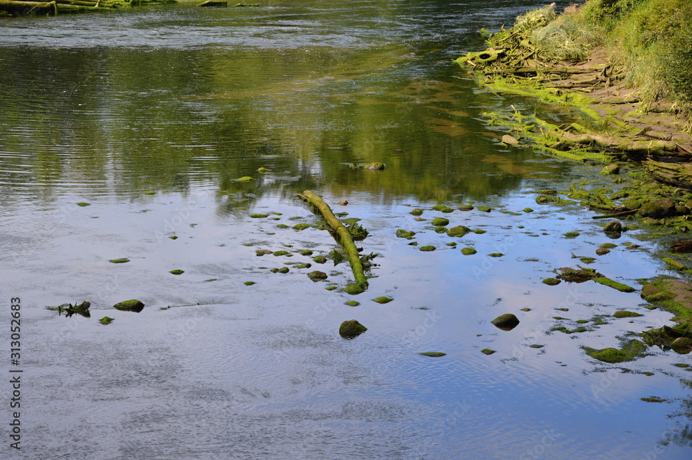 Obraz premium Olympic National Park, Washington
