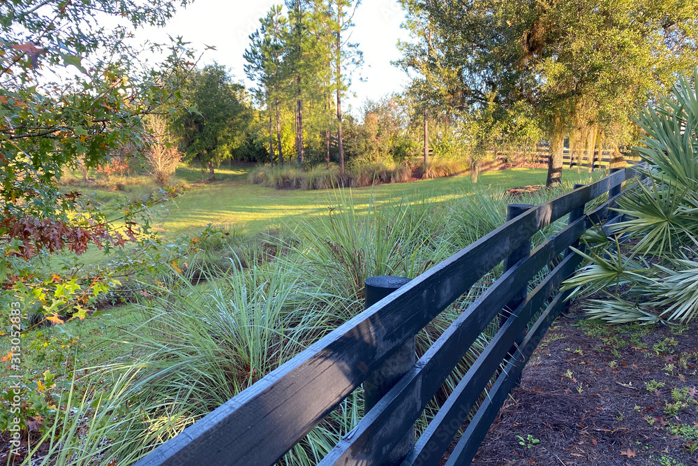 Fototapeta premium park forest fence garden path