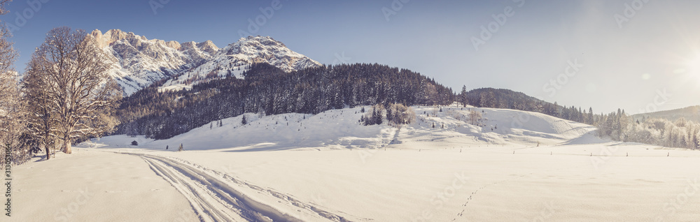 Sunny winter landscape in the nature: Mountain range, footpath, snowy trees, sunshine and blue sky. Panorama.