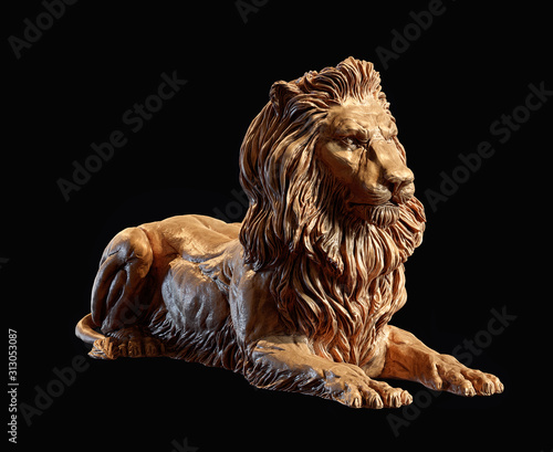 Photography Bronze Lion Statue