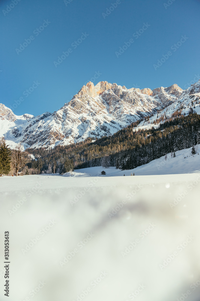 Sunny winter landscape in the nature: Mountain range, snowy trees, sunshine and blue sky