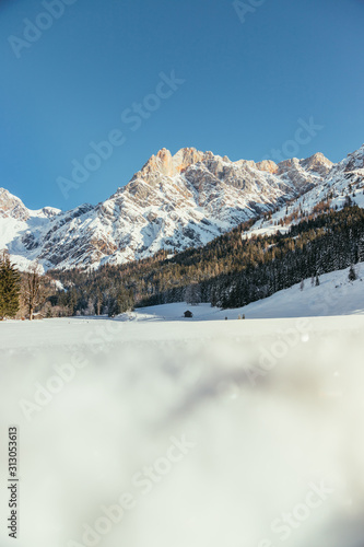 Sunny winter landscape in the nature  Mountain range  snowy trees  sunshine and blue sky