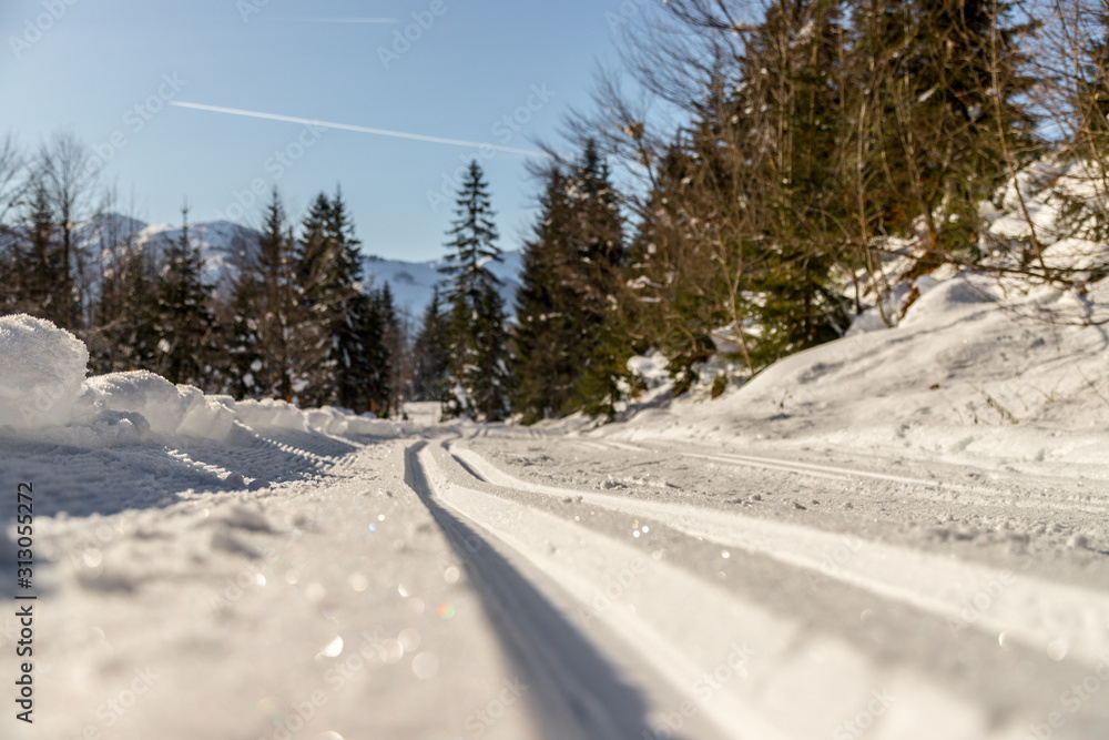 Fototapeta premium Cross-country skiing in Austria, Hinterthal: Slope, fresh white powder snow and mountains, blurry background