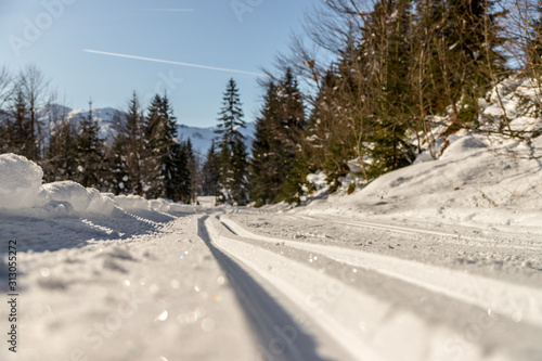Cross-country skiing in Austria, Hinterthal: Slope, fresh white powder snow and mountains, blurry background