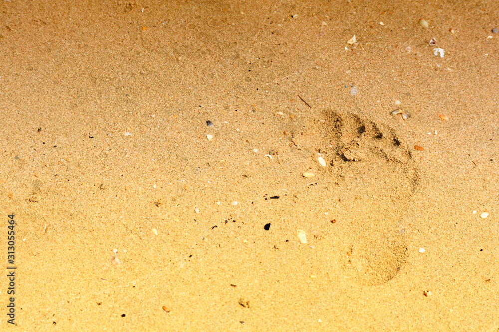 Fototapeta premium Footprint in the Sand on beach
