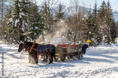 Horse drawn carriage in winter: Steam in the morning sun, Austria