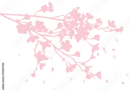 桜の枝と花びらシルエット