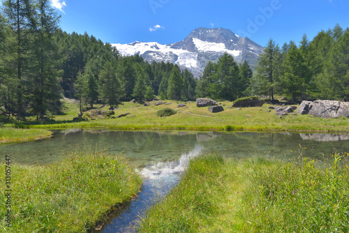 view on a river in a greenery valley with view on forest and glacier in summer