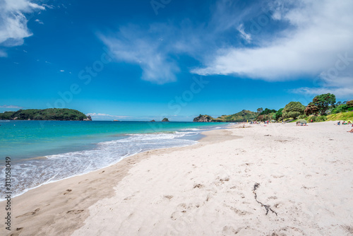 tropical beach with coconut palm trees