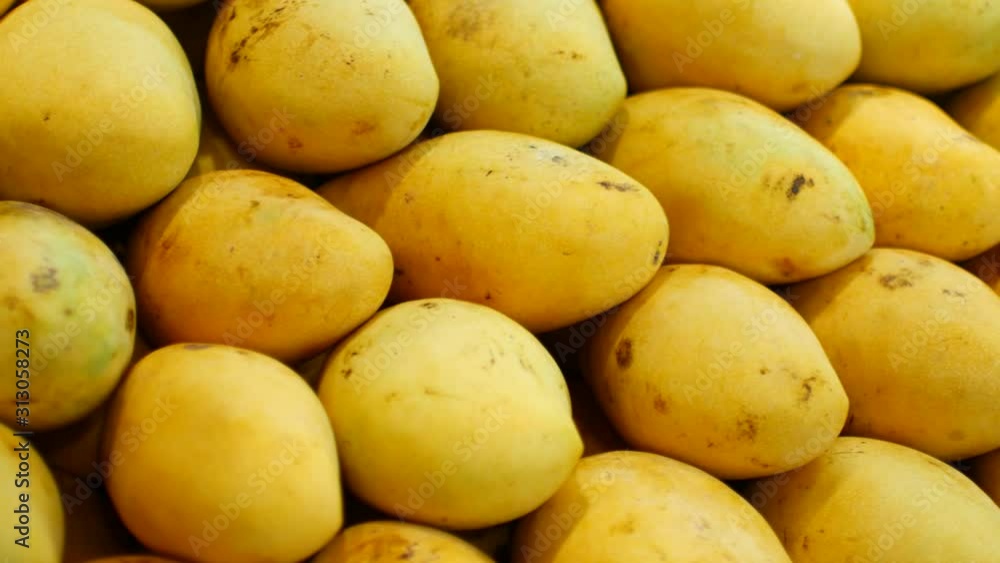 Beautiful yellow mango on the counter Beautiful yellow mango on the counter