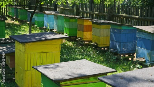 Few colorful beehives in sunny day in summer, Poland