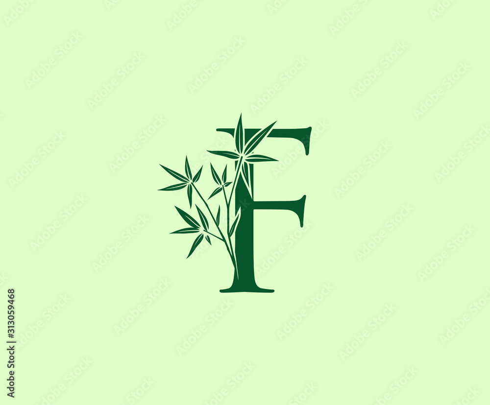 Fototapeta Green Bamboo F Letter logo icon design