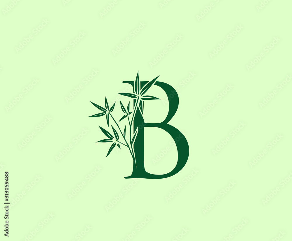 Fototapeta Projektowanie logo Green Bamboo B Letter