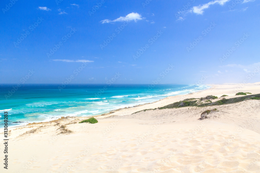View over sand dunes and the Indian Ocean, De Hoop Nature Reserve, South Africa