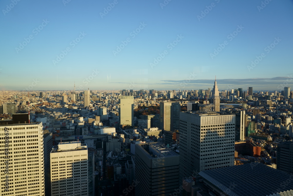 Fototapeta premium A view from above Tokyo