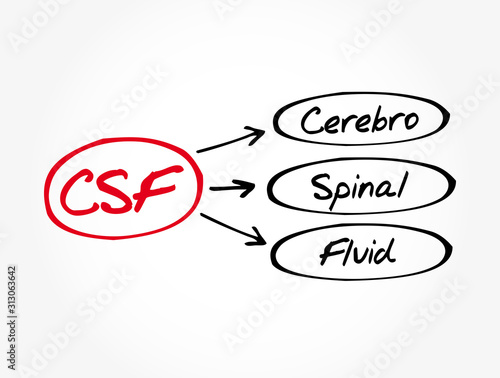 CSF - cerebrospinal fluid acronym, medical concept background