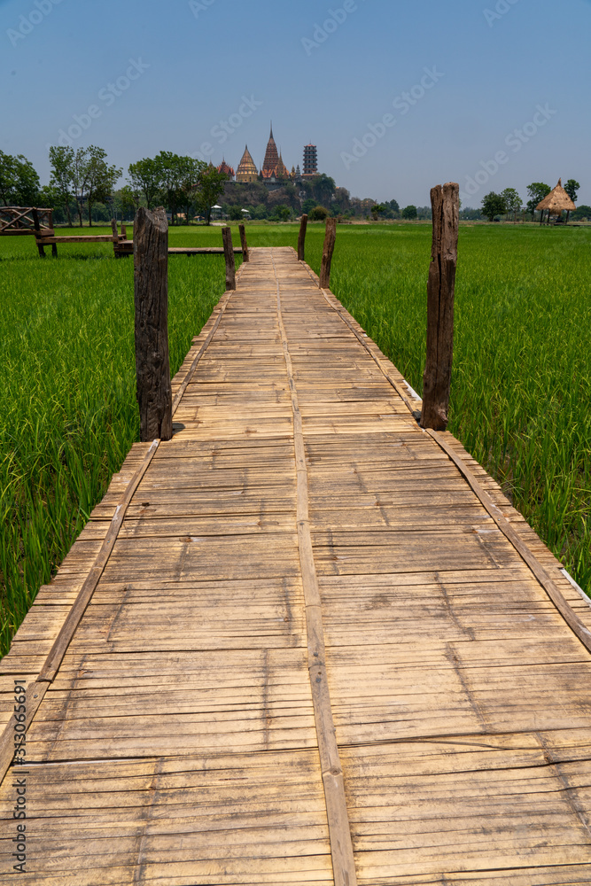 Rice Field with Bamboo Walkway - Karnjanaburi Thailand