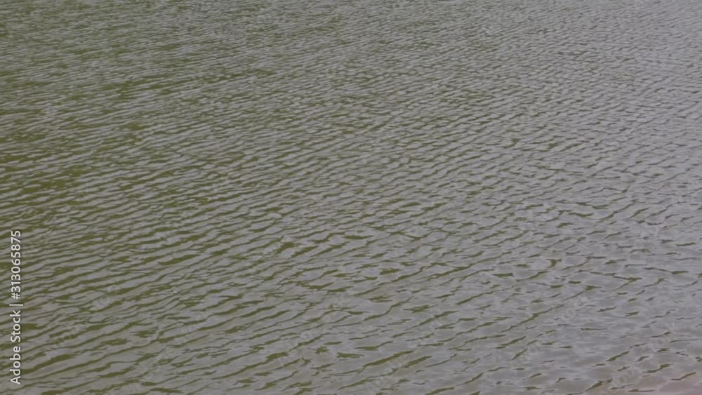 water lake surface with small waves water lake surface with small waves