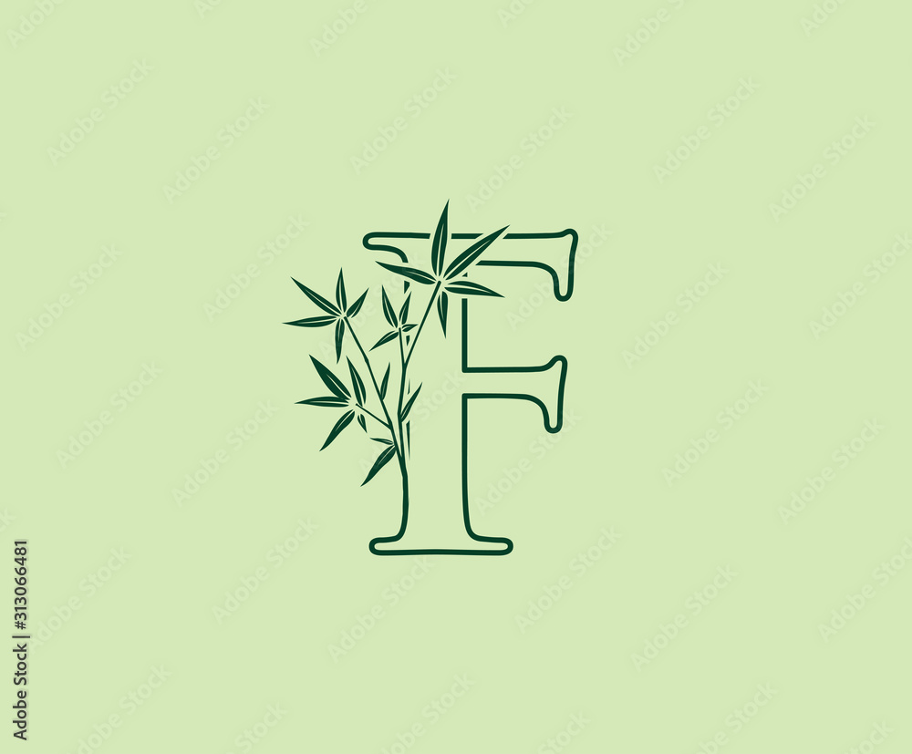 Fototapeta Bamboo F Letter logo , Green F Bamboo Plant icon design