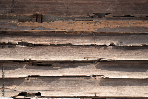 Rotting teak paling weatherboards Thailand 