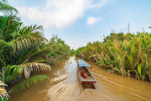 Boat tour in the Mekong River Delta region, Ben Tre, South Vietnam. Wooden boat on cruise in the water canals through coconut palm trees plantation.