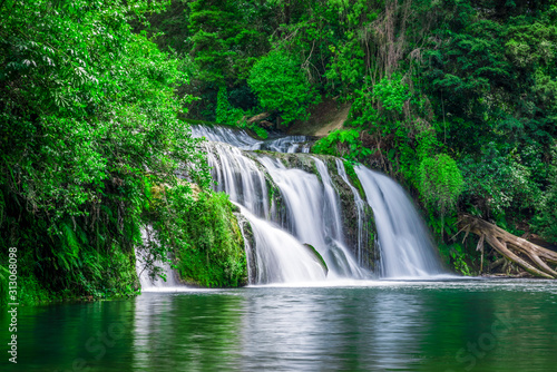 waterfall in the forest