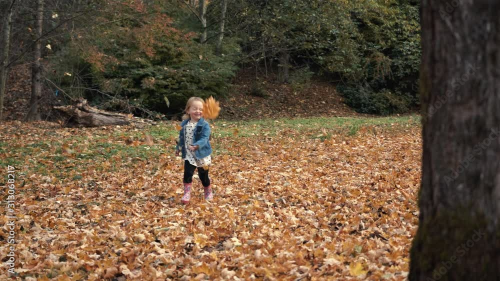 Slow Motion Little Girl Gathering and Throwing Autumn Season Maple Leaves Slow Motion Little Girl Gathering and Throwing Autumn Season Maple Leaves