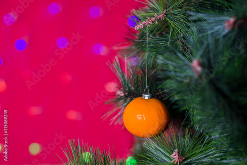 Vegan Christmas concert. Tree is decorated with fresh fruit. raw mandarin on a pine branch on a red background with bokeh. The idea of minimalism and eco-friendly celebration without waste. Copy space