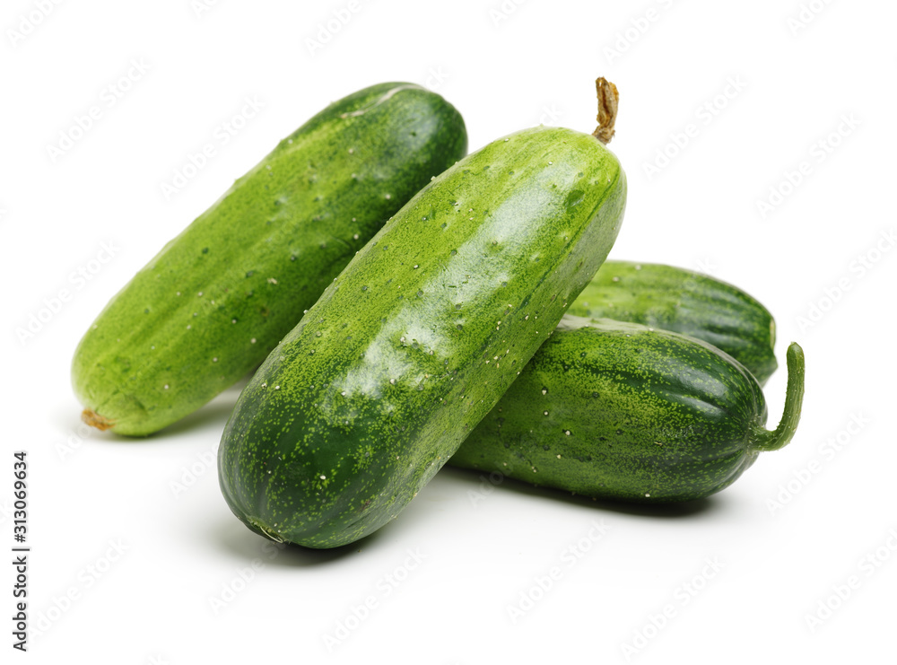Green cucumber on the white background Green cucumber on the white background