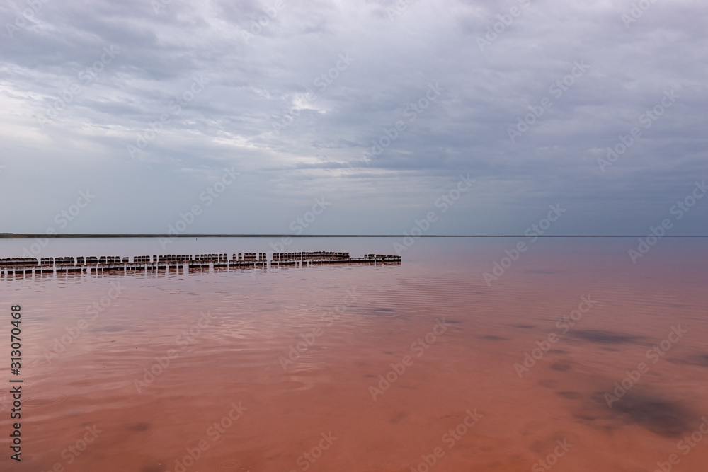 Elton Salt Lake with a pink hue of water and clouds