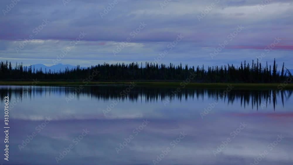 Panning by a treeline next to a lake with a beautiful cloudscape in orange purple, with copy space. Panning by a treeline next to a lake with a beautiful cloudscape in orange purple, with copy space.