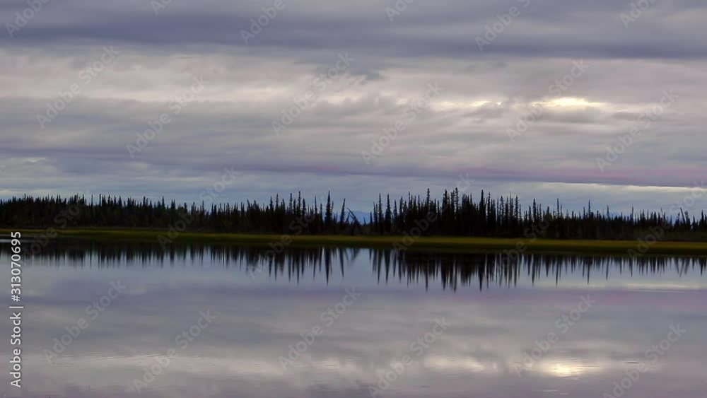 Panning by a treeline next to a lake with a beautiful cloudscape in the background, with copy space. Panning by a treeline next to a lake with a beautiful cloudscape in the background, with copy space.