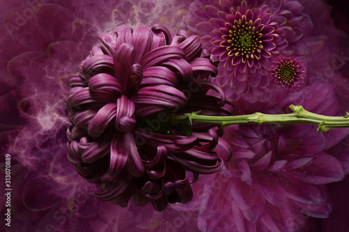 Flower arrangement, violet and pink