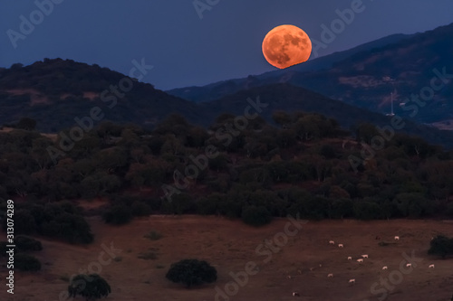 Luna llena naranja sobre montañas