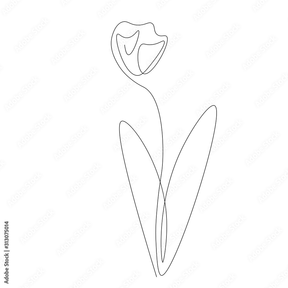 Spring flower continuous line drawing. Vector illustration Spring flower continuous line drawing. Vector illustration