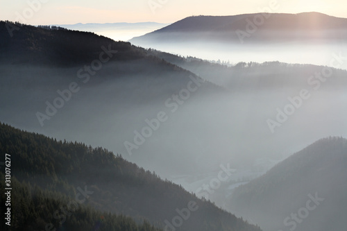Nebel im TalSchwarzwald