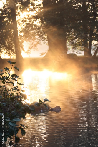 Beautiful nature at sunrise in autumn