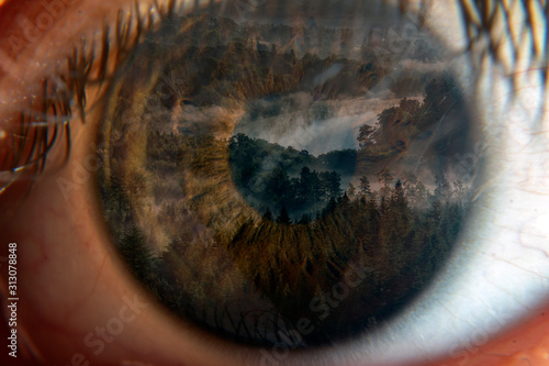 Human eye with green forest reflected in it symbolising mindfulness, peace, meditation and the tranquility in nature. Concept of switching off and enjoying nature over technology and busy lifestyles. 