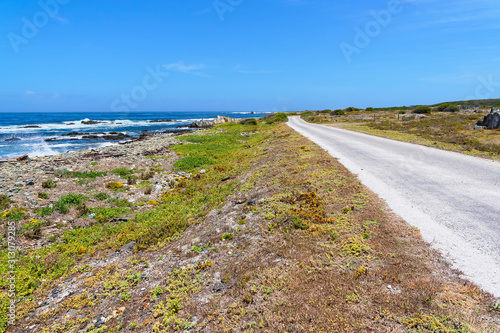 Fototapeta Naklejka Na Ścianę i Meble -  A narrow road runs parallel to the rocky shore of Robben Island