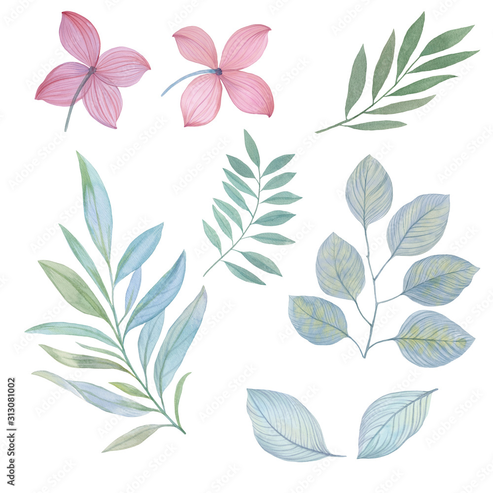 Watercolor leaves and flowers isolated on white background. Botanical set of watercolor leaves and flowers. Delicate branches for postcards.