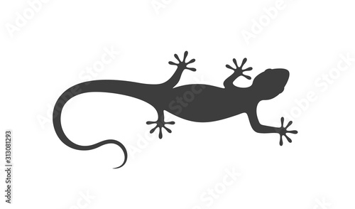 Lizard logo.  Isolated lizard on white background photo