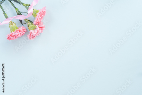 Beautiful, elegant pink carnation flower over bright light blue table background, concept of Mother's Day flower gift, top view, flat lay, overhead
