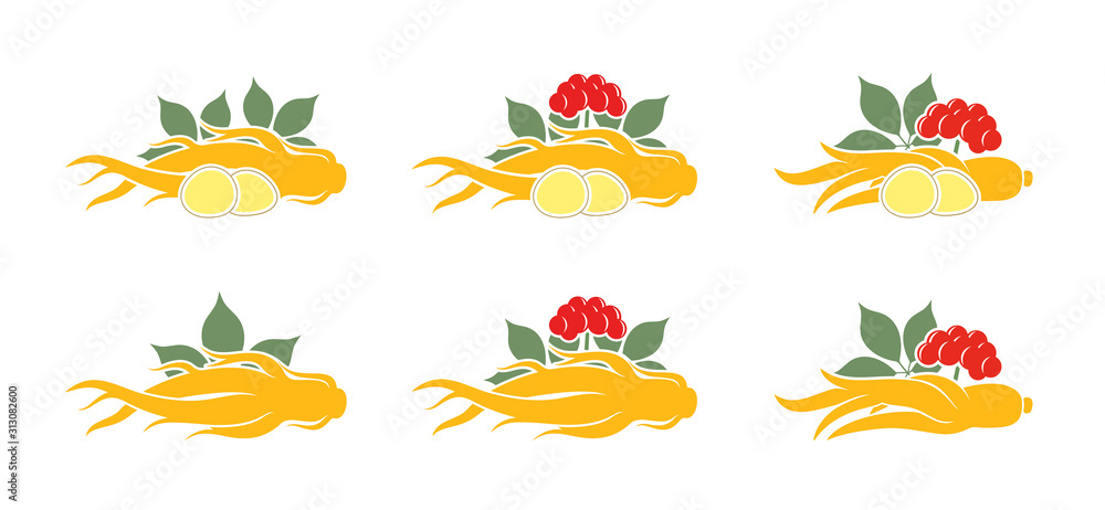 Naklejka premium Ginseng logo. Isolated ginseng on white background