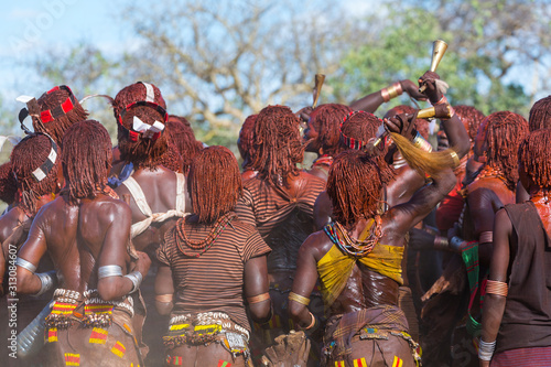 Hamer people, Omo valley, Naciones, Ethiopia, Africa photo