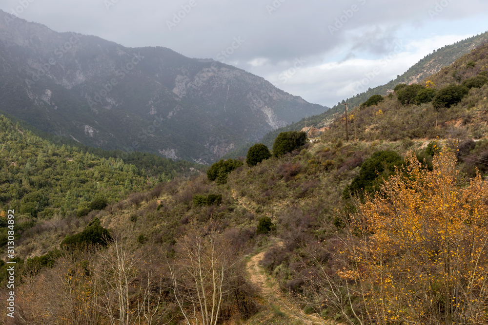 Naklejka premium Fog in the mountains (Greece, Peloponnese).
